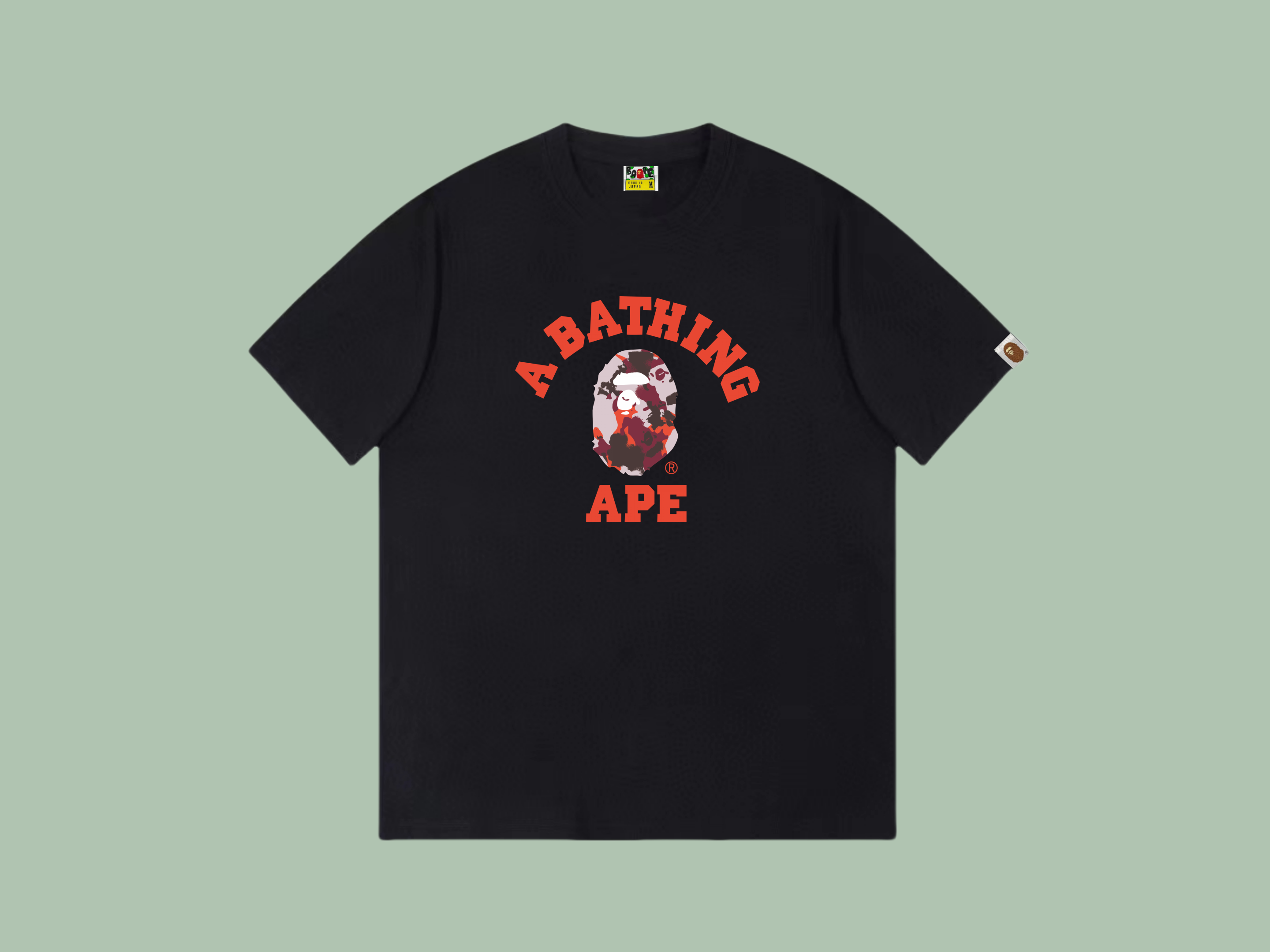 Pasted Image