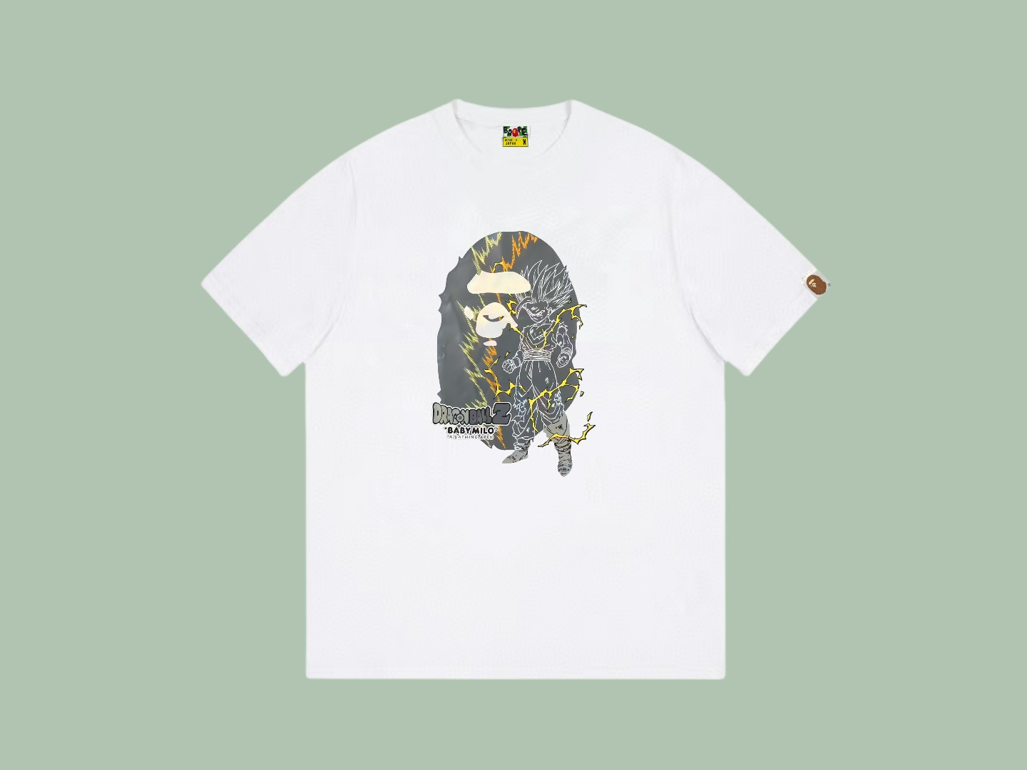 Pasted Image
