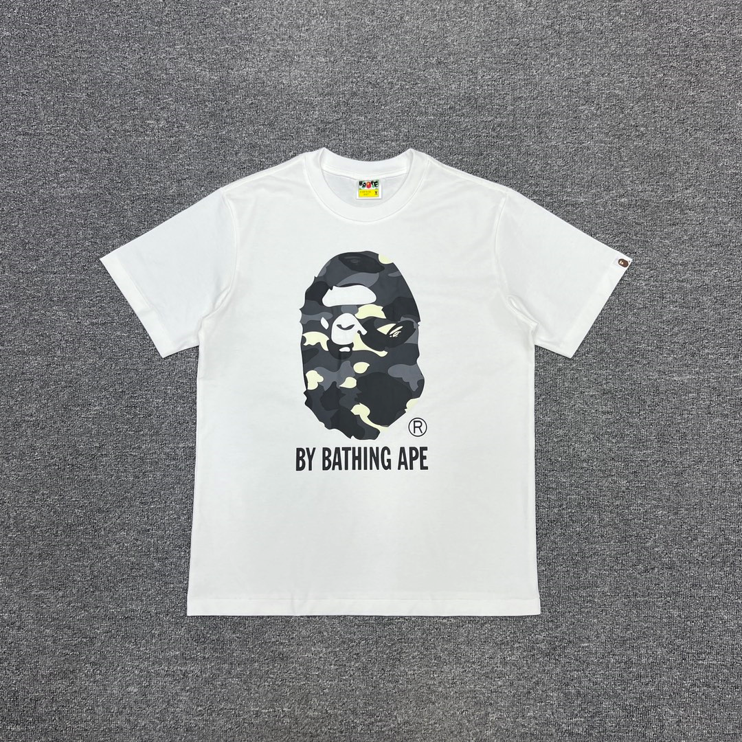 Pasted Image