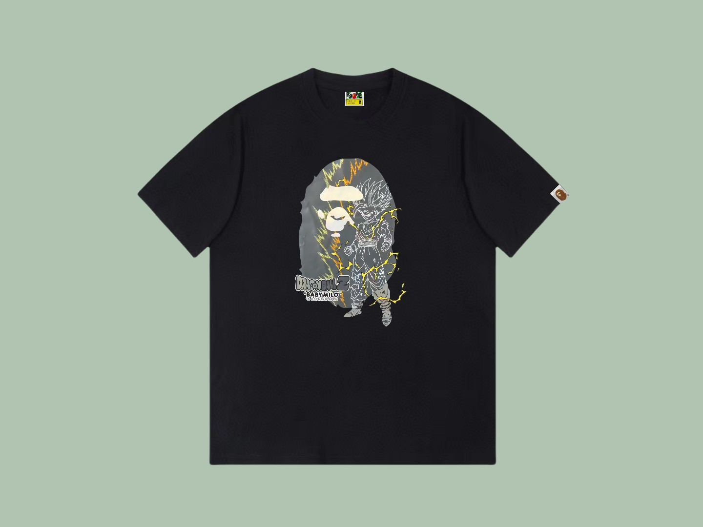 Pasted Image