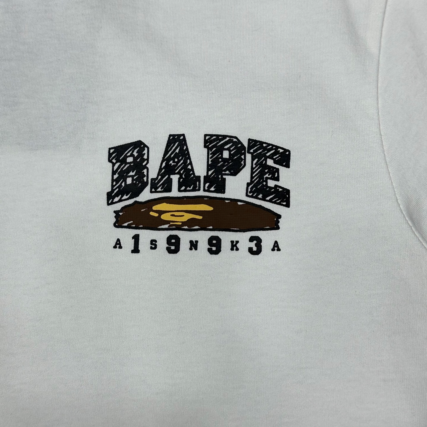 Pasted Image