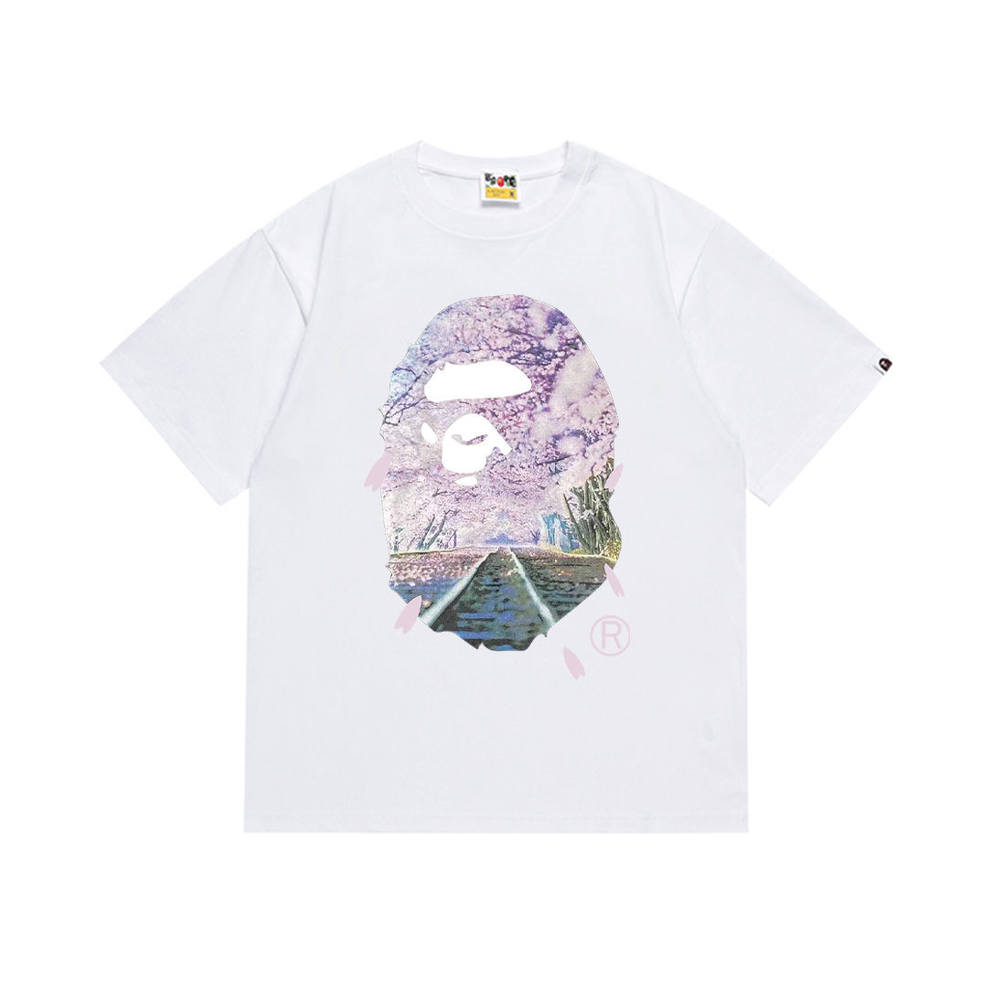 Pasted Image