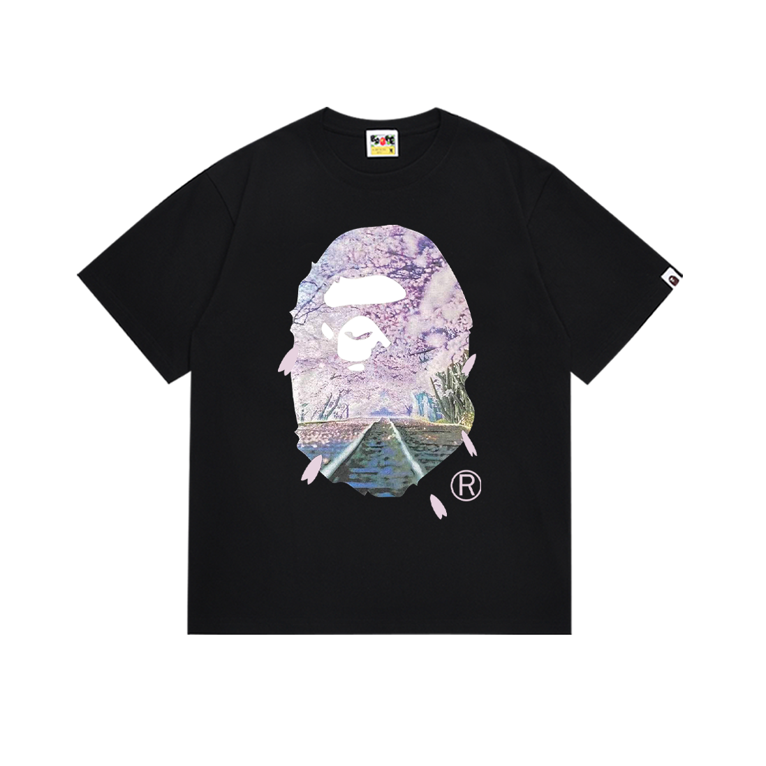 Pasted Image